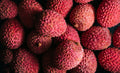 Litchi Noir (Delina Exclusif)